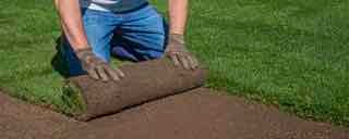 Instant, hydroseeding and artificial lawns